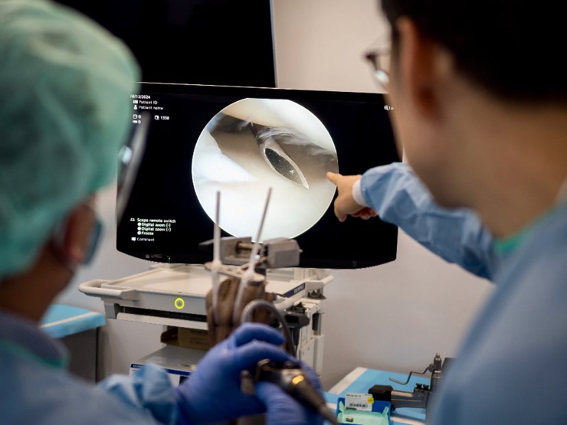 HK Wrist Course 2024 - Workshops  - 67 of 241